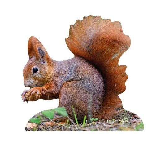 Animal display squirrel - outdoor set
