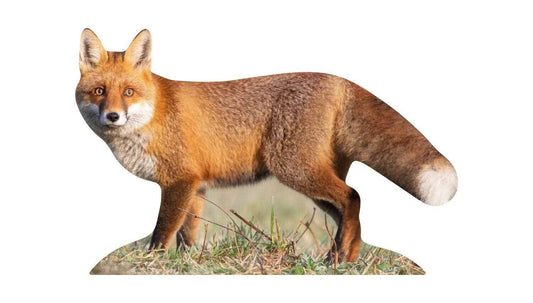 Animal stand fox - outdoor set