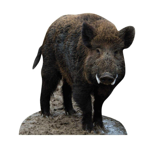 Animal display boar - outdoor set