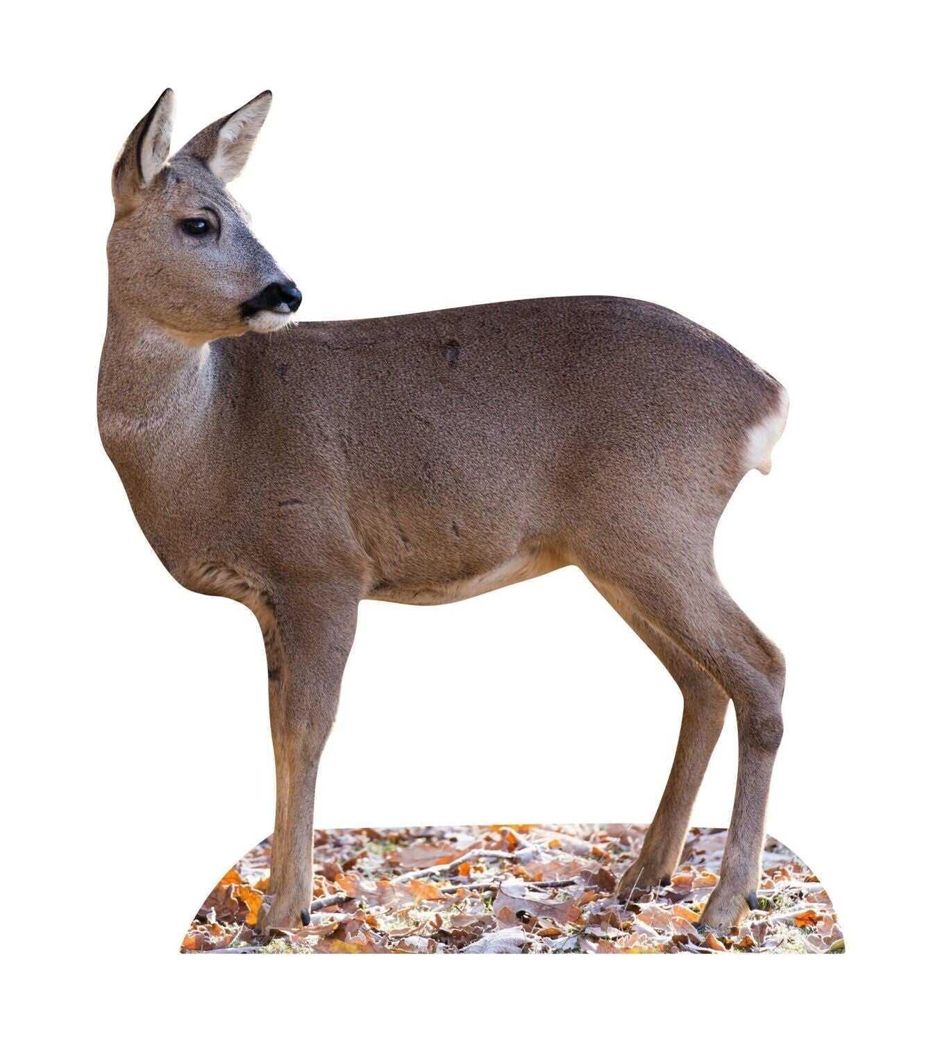 Animal standee deer