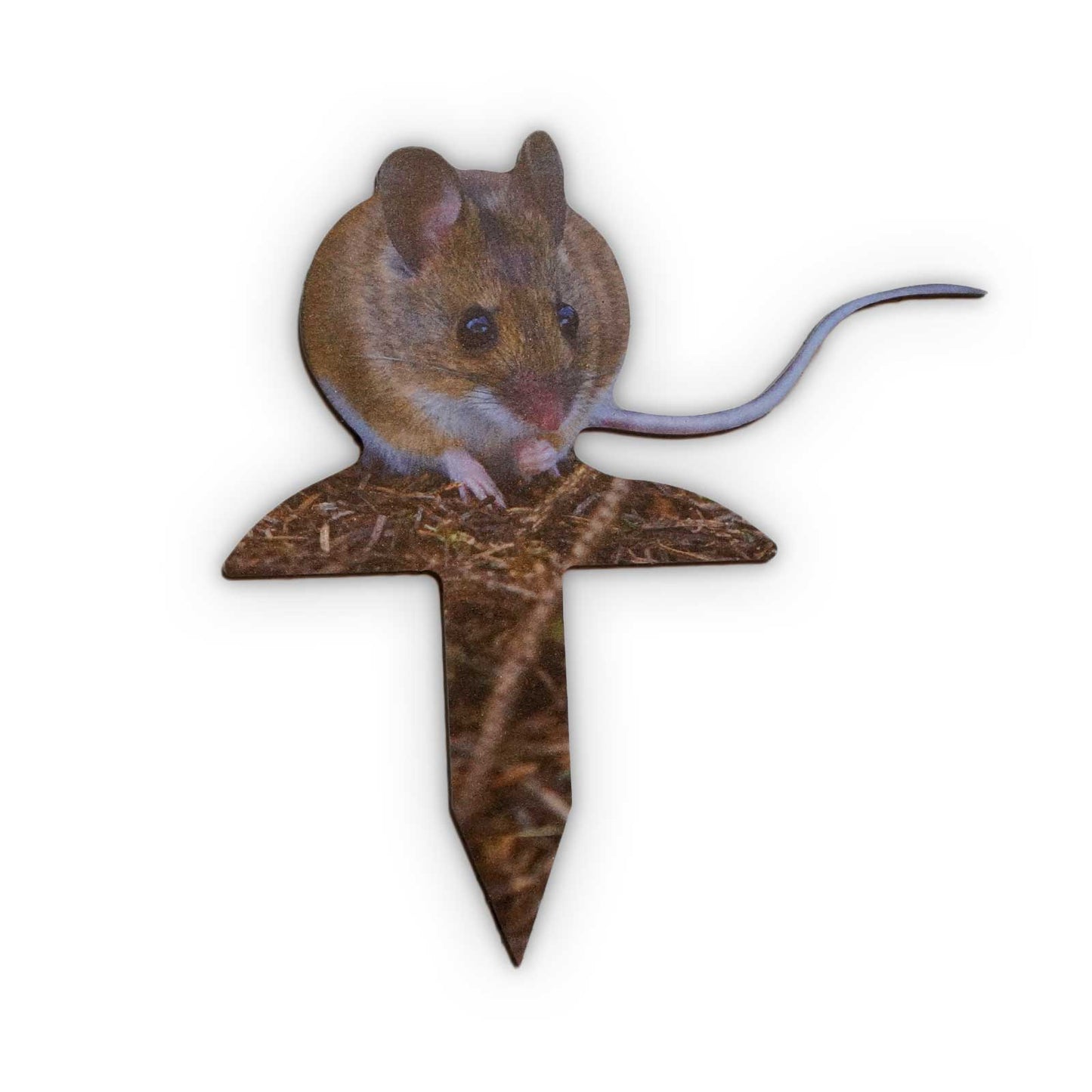 Animal display wood mouse skewer