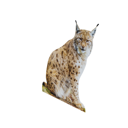 Animal display lynx