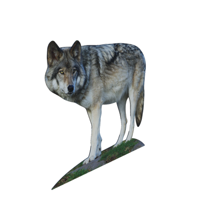 Animal display wolf
