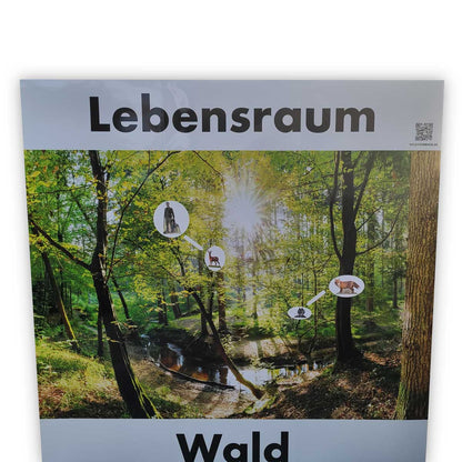 Pop-Up Wand "Lebensraum Wald"