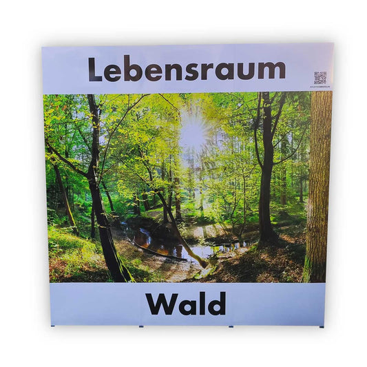 Pop-Up Wand "Lebensraum Wald"